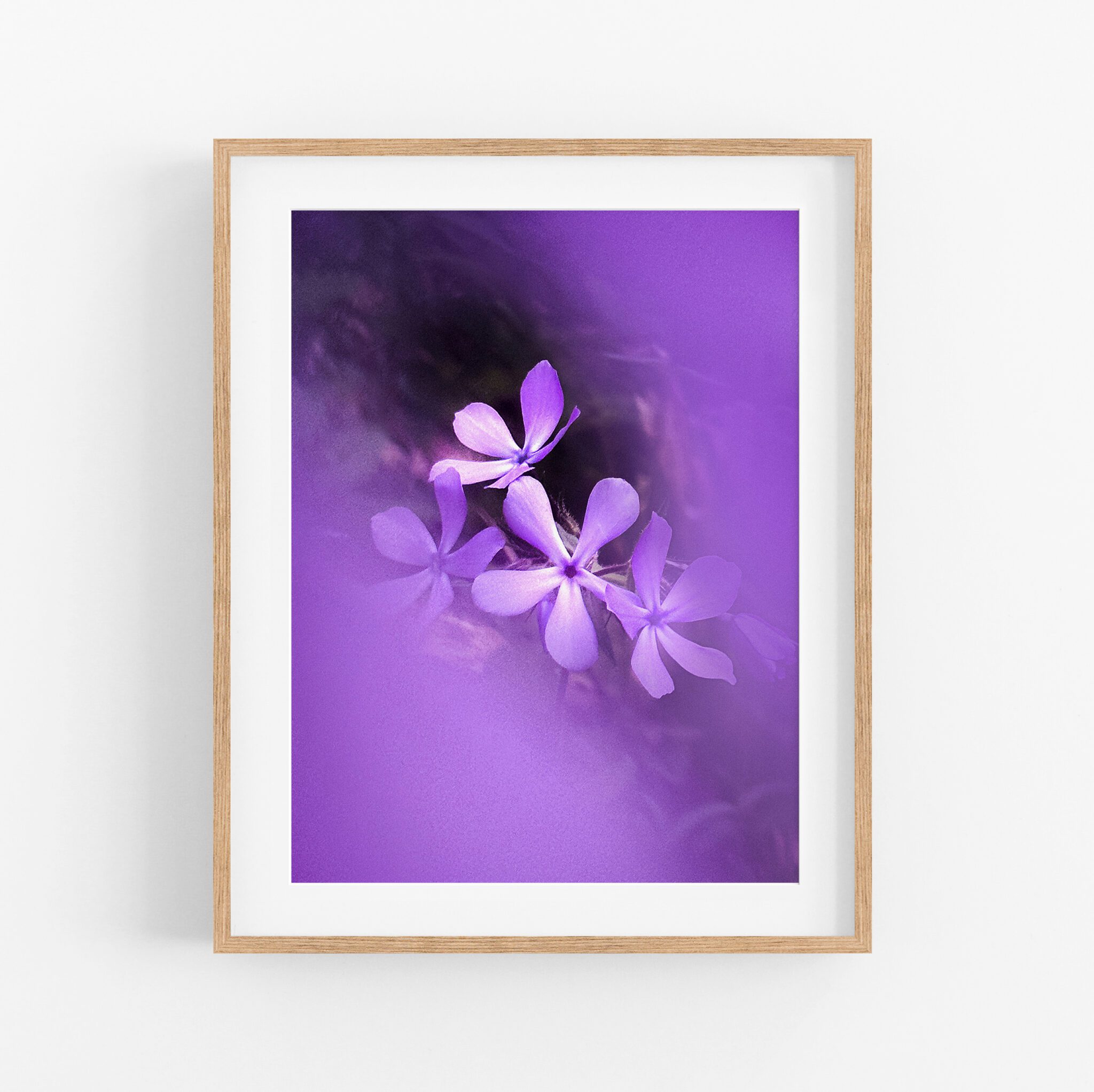 framed print - phlox