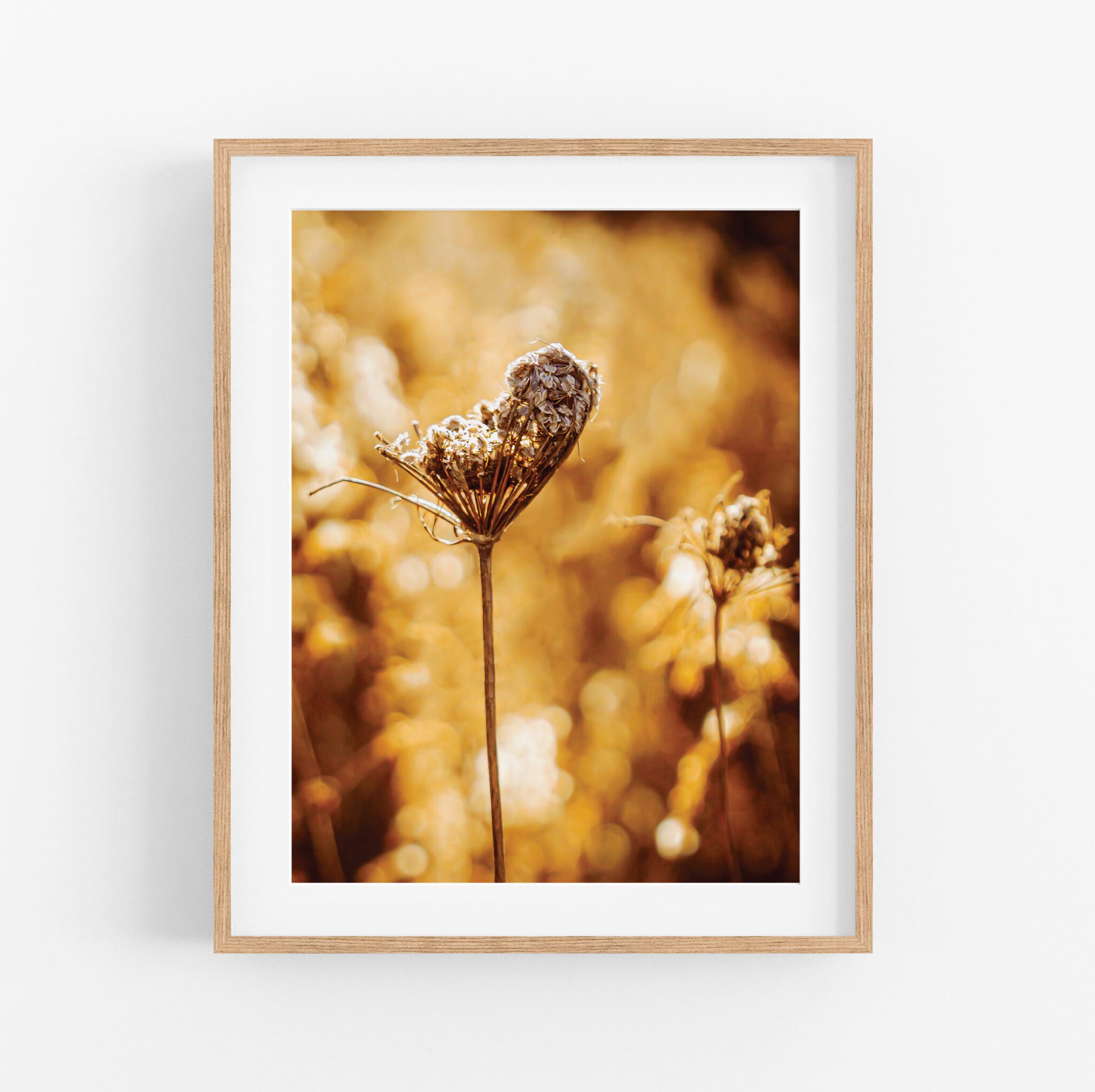 framed print - queens gold