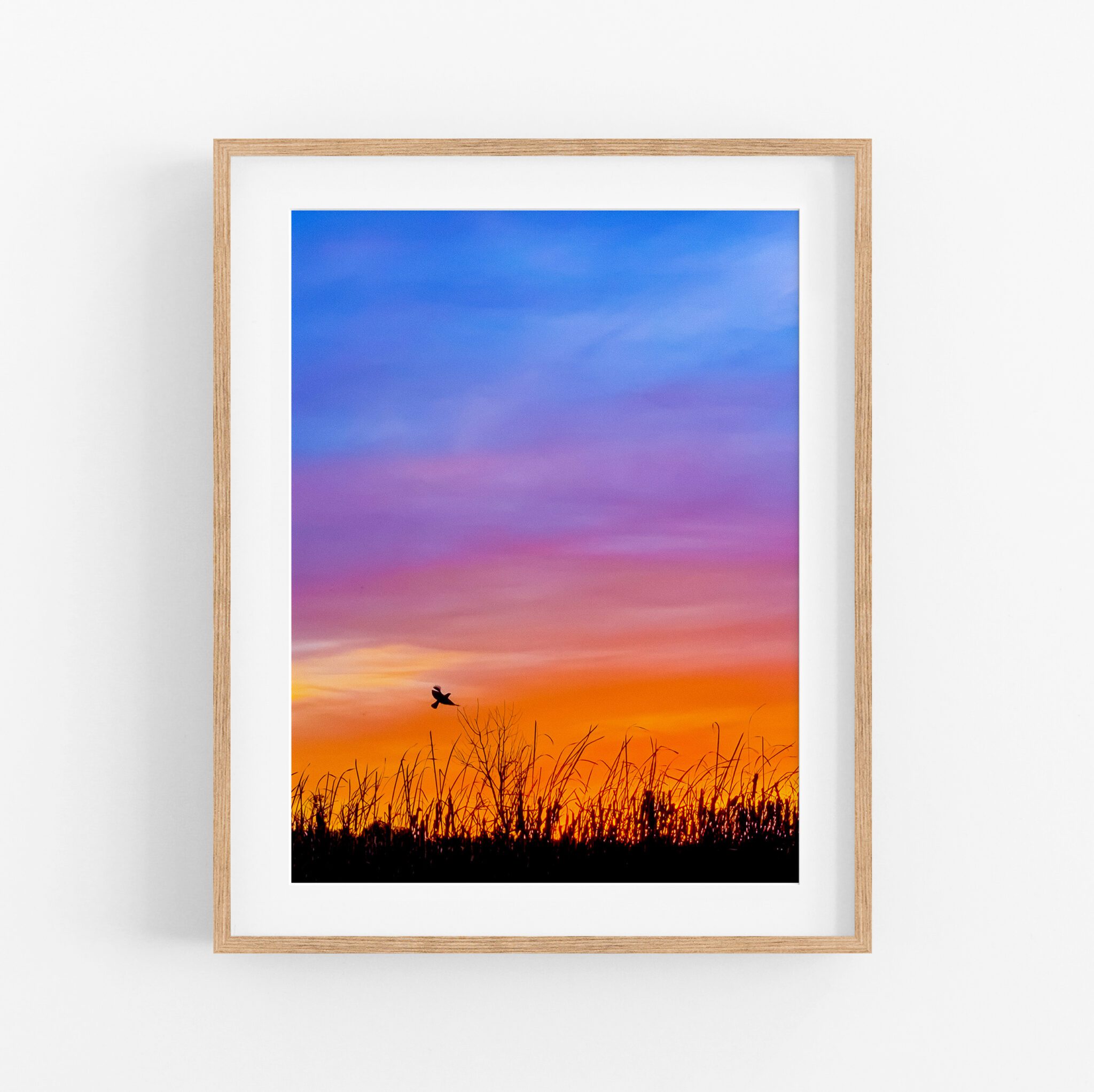 framed print - redwing