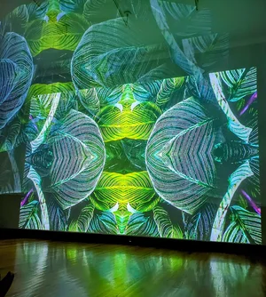 PhotoshopExtension_Image