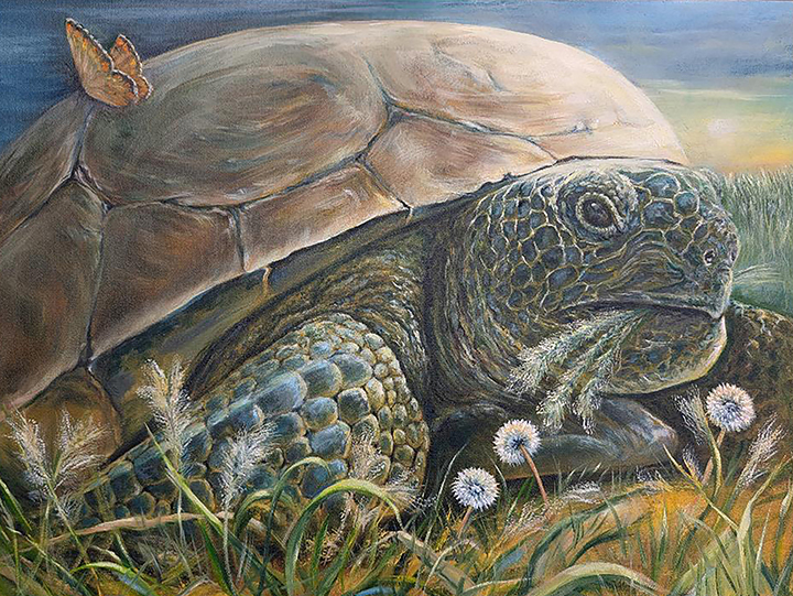 Turtley for web